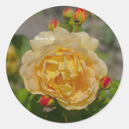 Adesivo Rosa Amarela