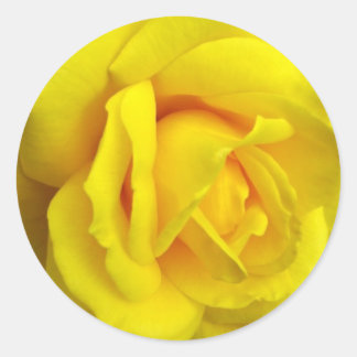 Adesivo Rosa Amarela