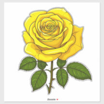 Rosa Amarela Brilhante