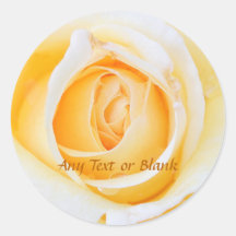 Rosa Amarela Brilhante Deusa