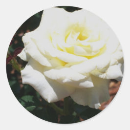 Adesivo Rosa Amarela Pálida