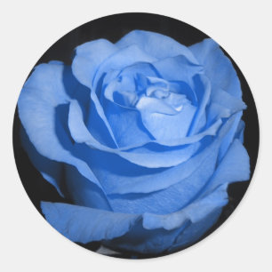 Adesivo Rosa azul solteiro