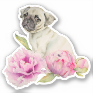 Adesivo Rosa bonito do cão de filhote de cachorro do Pug
