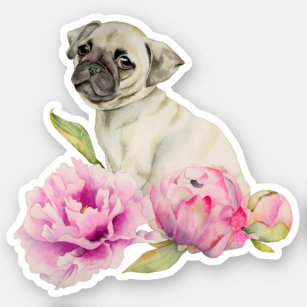 Adesivo Rosa bonito do cão de filhote de cachorro do Pug