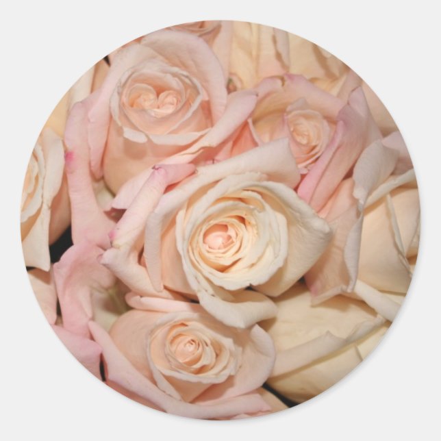 Adesivo rosa branca e rosa (Frente)