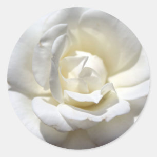 Adesivo Rosa branco