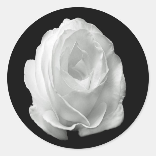 Adesivo rosa branco sobre fundo preto (Frente)