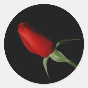 Adesivo Rosa Bud Stickers - Selo de Envelope de Casamento