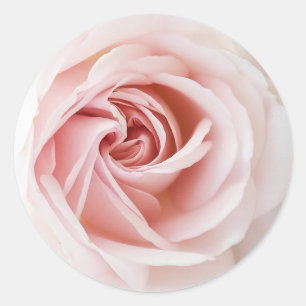 Adesivo Rosa Cor-de-Rosa e Madeira Branca Estilo Shabby Ch