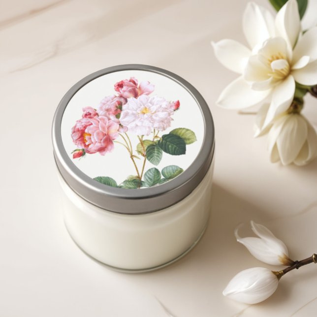 Adesivo Rosa Damascena, Flórida Vintage (Criador carregado)