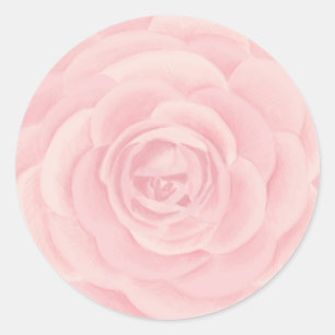 Adesivo Rosa de Aquarela Rosa