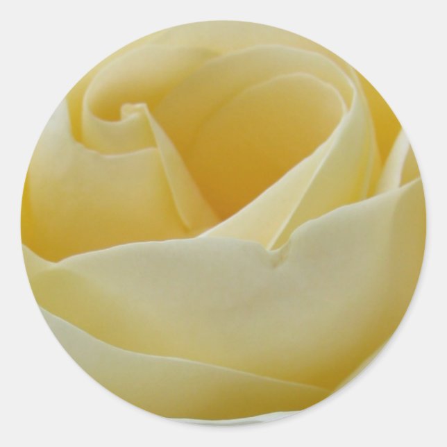Adesivo Rosa de casamento (Frente)