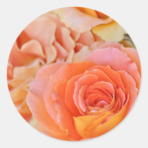 Adesivo Rosa de chá híbrido alaranjado