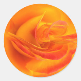 Adesivo Rosa de cor laranja