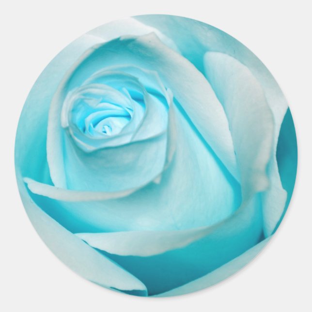 Adesivo Rosa de gelo Terquoise (Frente)