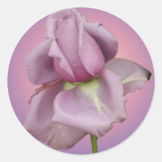 adesivo rosa de lavanda de
