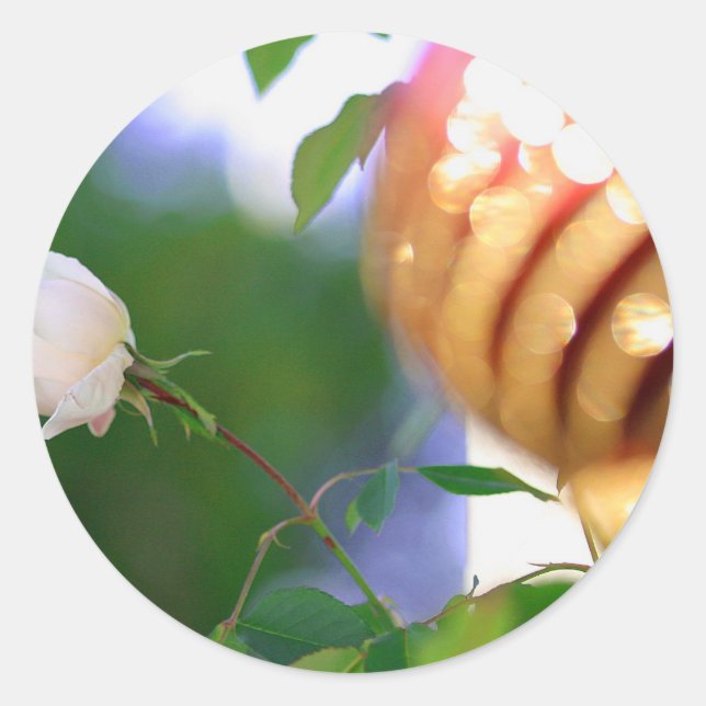 Adesivo Rosa de Natal Branco (Frente)