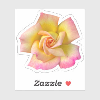 Adesivo Rosa de Paz Amarelo Espiral Rosa