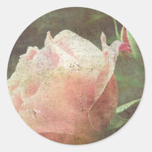 Adesivo Rosa de Vintage