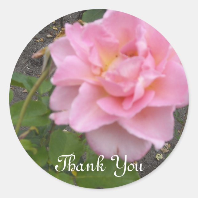 Adesivo Rosa Delicada Obrigado (Frente)