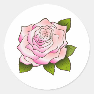 Adesivo Rosa do rosa do vintage que tira em volta da
