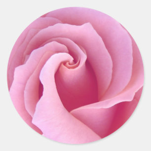 Adesivo Rosa do ROSA PASTEL - selo do envelope do