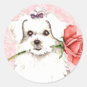 Adesivo Rosa dos namorados maltês