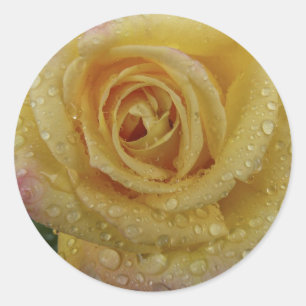 Adesivo Rosa-Etiqueta amarela