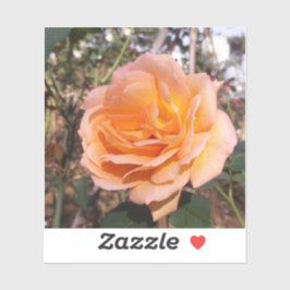 Adesivo Rosa laranja