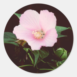 Adesivo Rosa Mallow Stickers