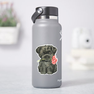 Adesivo Rosa namorados Affenpinscher Vinil