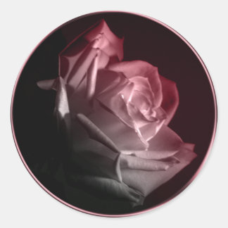 Adesivo Rosa no Selo de Envelope de Casamento Bloom