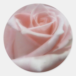 Adesivo Rosa pálido macio aumentou