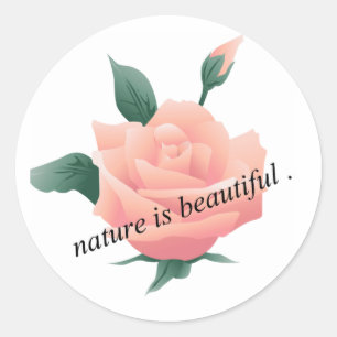 Adesivo Rosa (Peach) - Natureza bonita