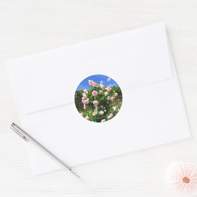 Adesivo Rosa Pierre de Ronsard：Seal (Envelope)