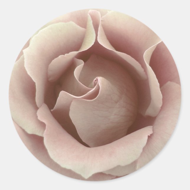 Adesivo Rosa PINK ICE - Selo de Envelope de Casamento (Frente)