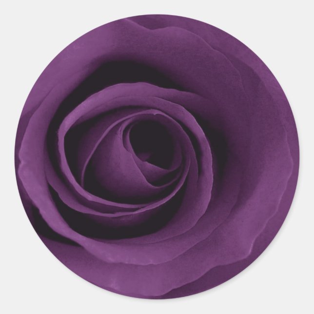 Adesivo Rosa púrpura (Frente)