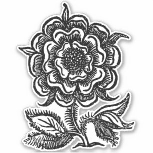 Adesivo Rosa Renascença