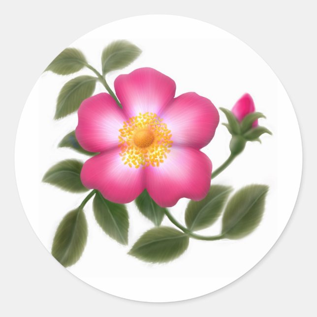 Adesivo Rosa Romântico selvagem (Frente)