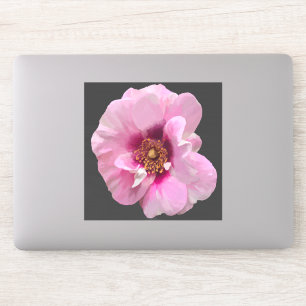Adesivo Rosa rosa com Coração Roxo - pintura a óleo