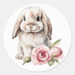 Adesivo Rosa Rosa Lop Olhou Coelho Olhado