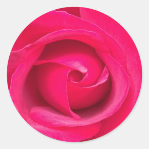 Adesivo Rosa Rosa Vermelha Romântica