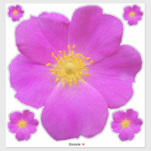 Adesivo Rosa selvagem 2