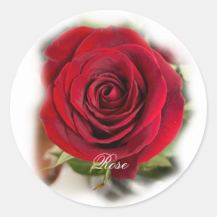 Adesivo Rosa Sticker Envelope Seals