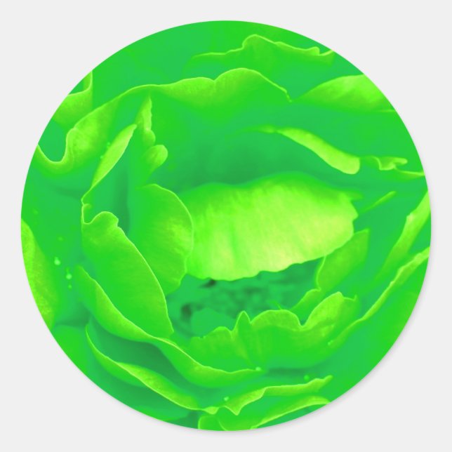 Adesivo Rosa verde claro - Personalizável (Frente)