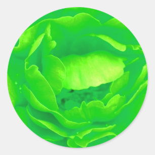 Adesivo Rosa Verde - Personalizável