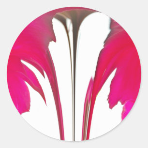 Adesivo Rosa vermelha fantástica do chic sob o céu branco.