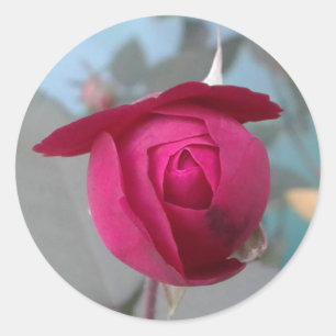 Adesivo Rosa vermelha romântica