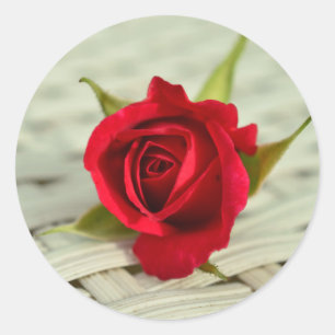 Adesivo rosa vermelha Vedantes de Envelope