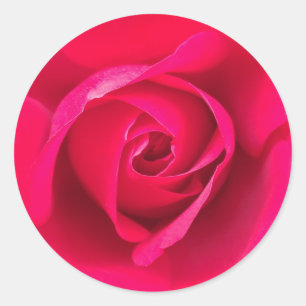 Adesivo Rosa Vermelho Romântico Rosa v2